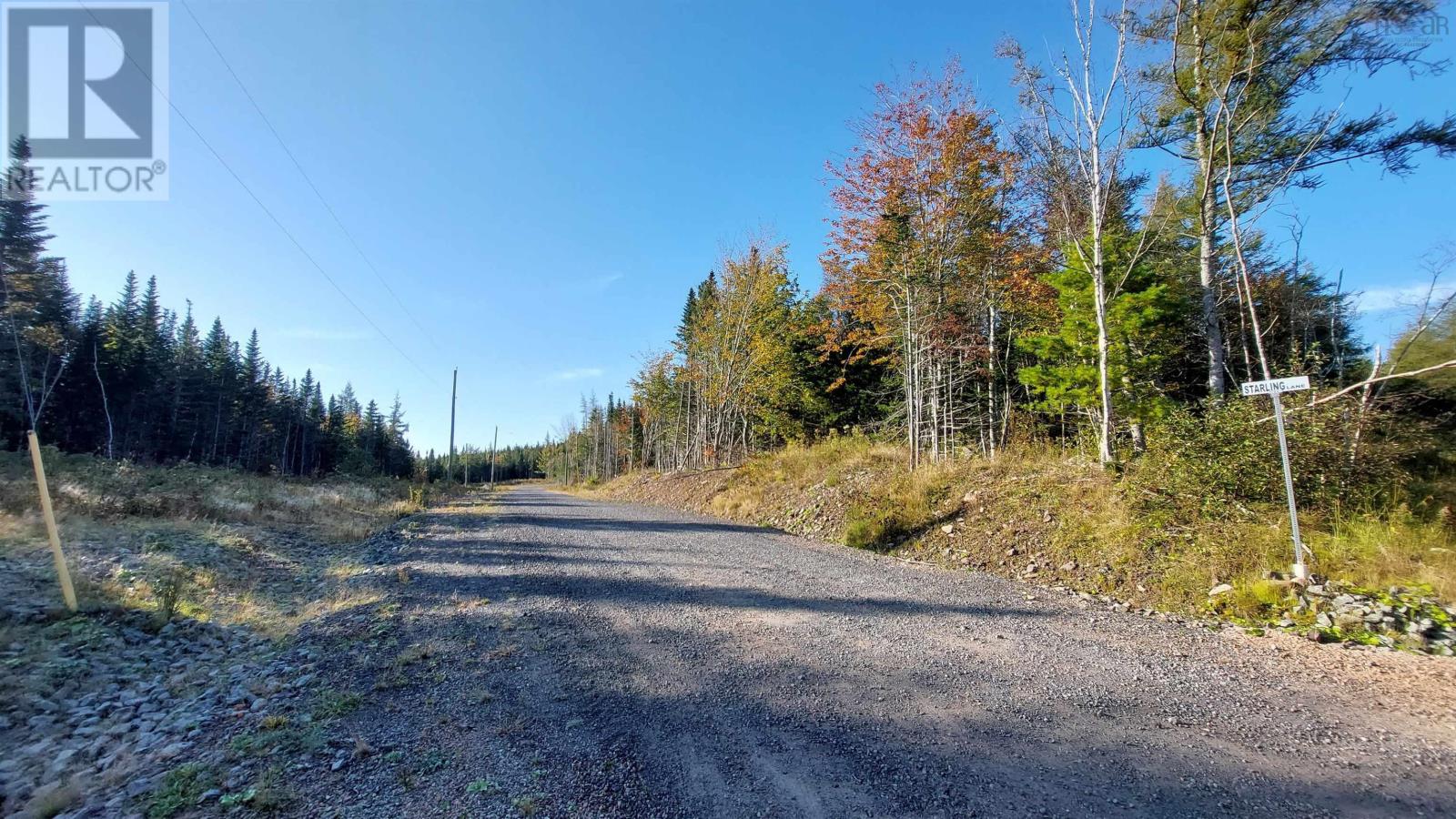 65 Starling Lane, Cleveland, Nova Scotia  B0E 1J0 - Photo 8 - 202407372