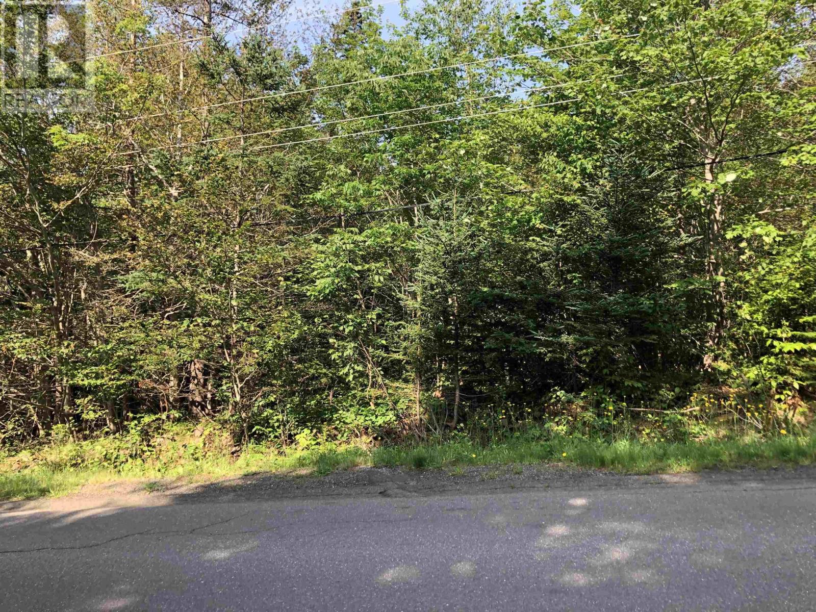 Lot Lighthouse Road, Bay View, Nova Scotia  B0V 1A0 - Photo 3 - 202407434