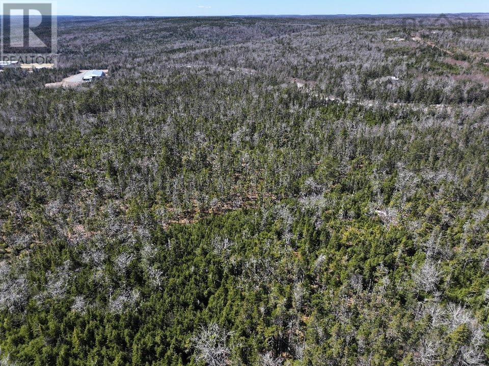 Lot 1 Old Road Hill, Sherbrooke, Nova Scotia  B0J 3C0 - Photo 2 - 202407450