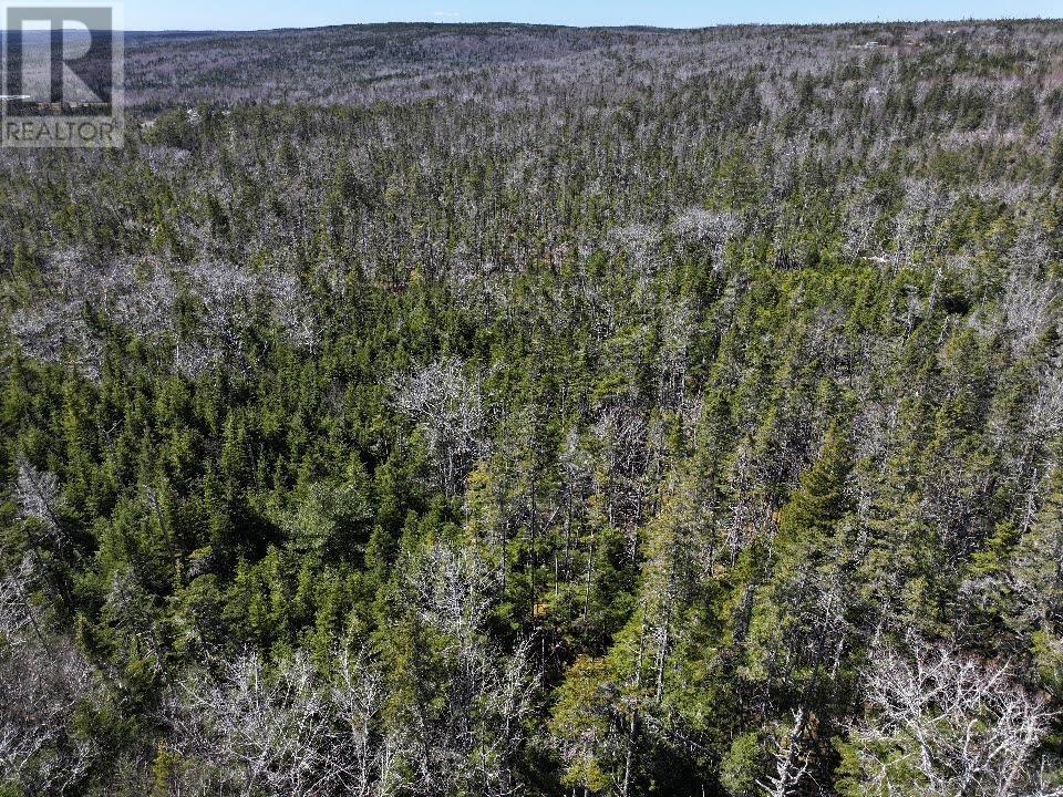 Lot 1 Old Road Hill, Sherbrooke, Nova Scotia  B0J 3C0 - Photo 3 - 202407450