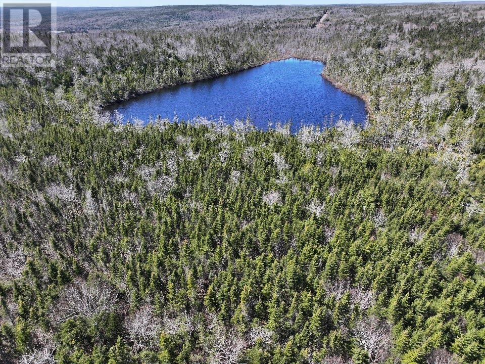 Lot 3 Old Road Hill, Sherbrooke, Nova Scotia  B0J 3C0 - Photo 10 - 202407453