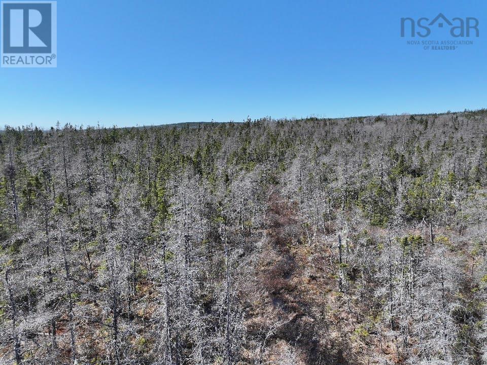 Lot 3 Old Road Hill, Sherbrooke, Nova Scotia  B0J 3C0 - Photo 12 - 202407453