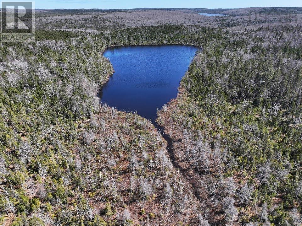 Lot 3 Old Road Hill, Sherbrooke, Nova Scotia  B0J 3C0 - Photo 3 - 202407453