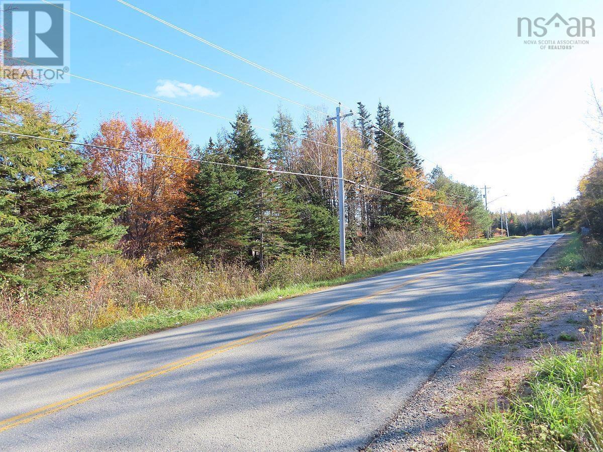 Lot 8 #4 Highway (Lower River Road) Road, Cleveland, Nova Scotia  B0E 1J0 - Photo 10 - 202407519