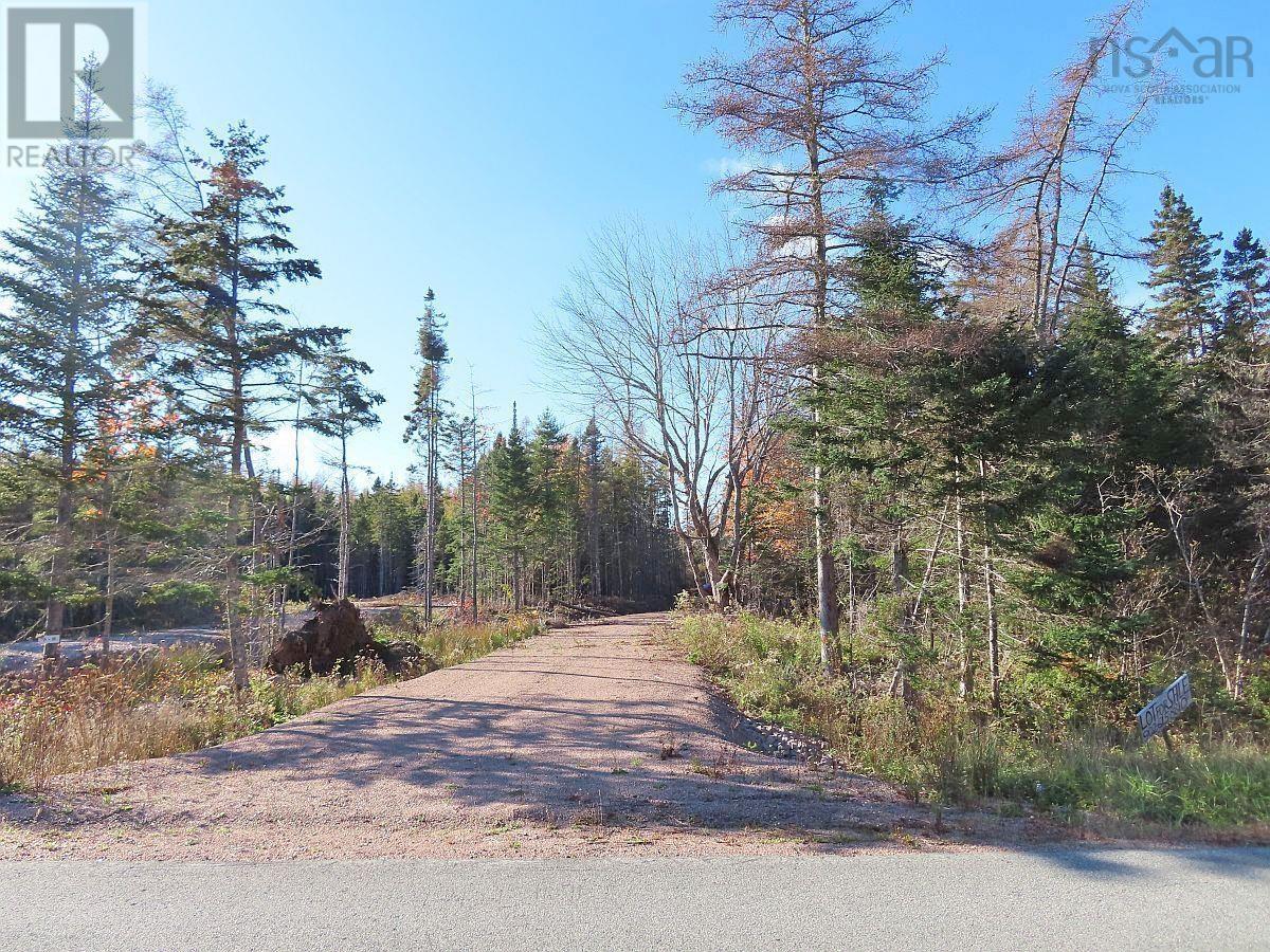 Lot 8 #4 Highway (Lower River Road) Road, Cleveland, Nova Scotia  B0E 1J0 - Photo 2 - 202407519