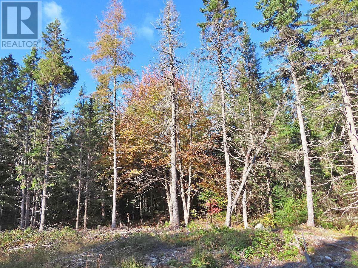 Lot 8 #4 Highway (Lower River Road) Road, Cleveland, Nova Scotia  B0E 1J0 - Photo 3 - 202407519