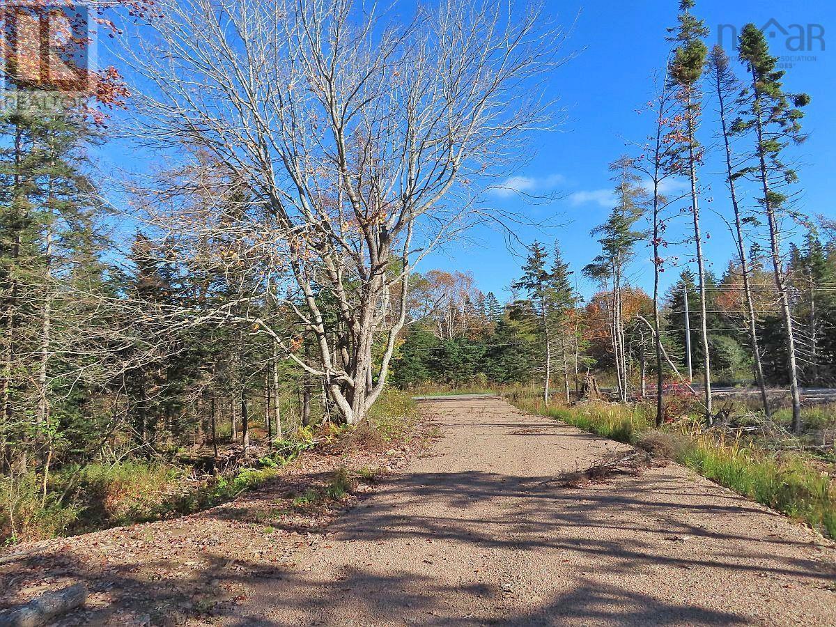 Lot 8 #4 Highway (Lower River Road) Road, Cleveland, Nova Scotia  B0E 1J0 - Photo 4 - 202407519