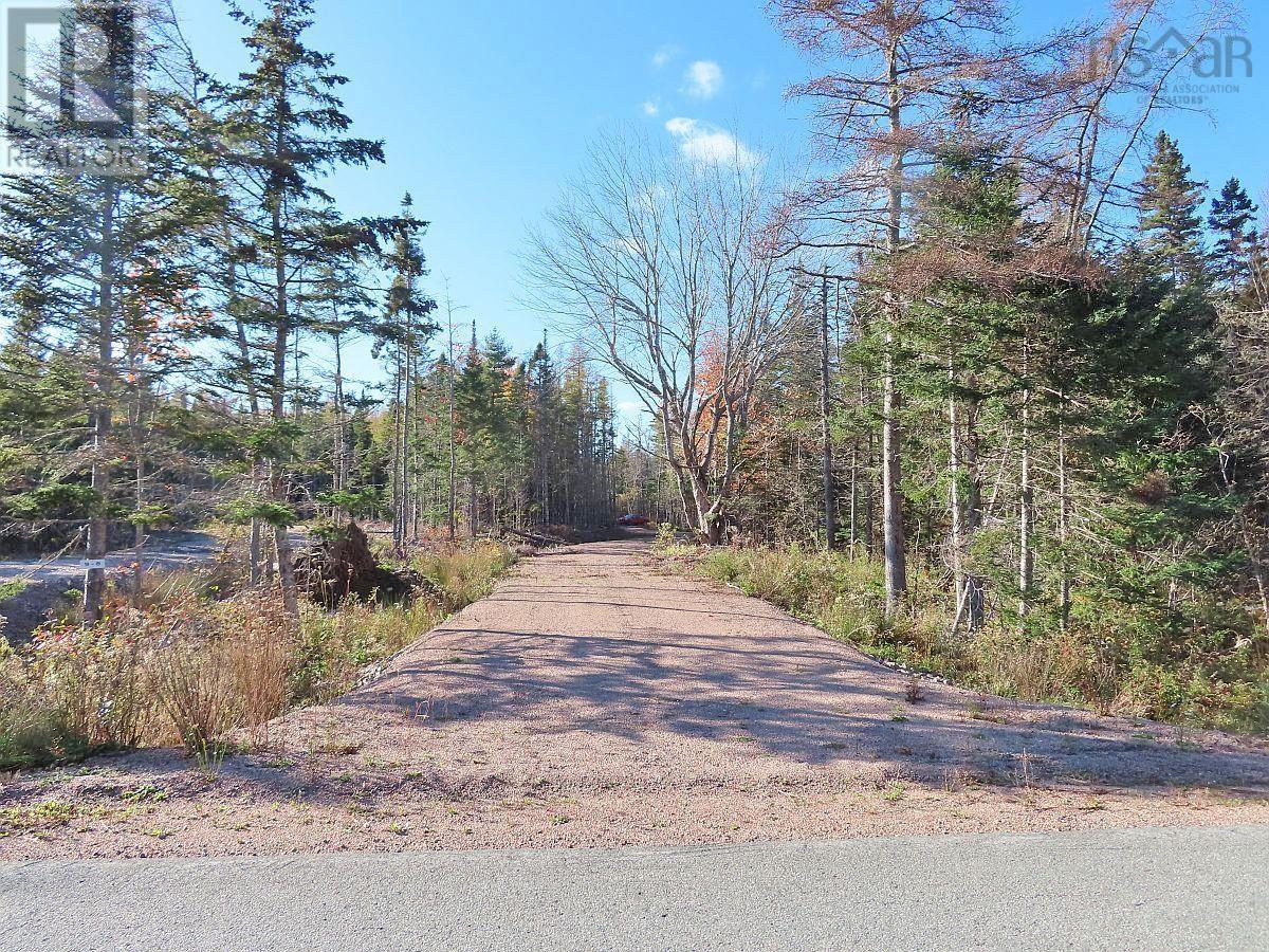 Lot 8 #4 Highway (Lower River Road) Road, Cleveland, Nova Scotia  B0E 1J0 - Photo 5 - 202407519