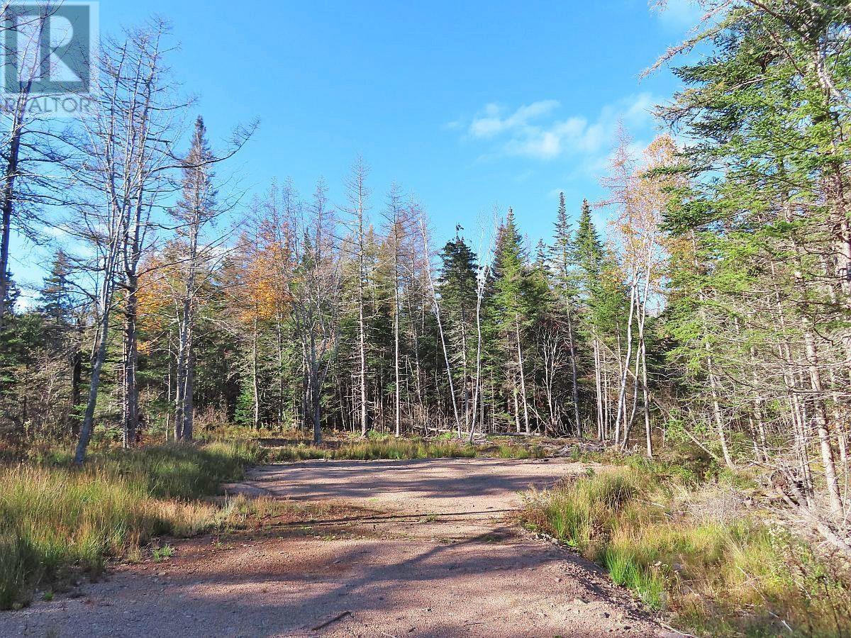 Lot 8 #4 Highway (Lower River Road) Road, Cleveland, Nova Scotia  B0E 1J0 - Photo 6 - 202407519