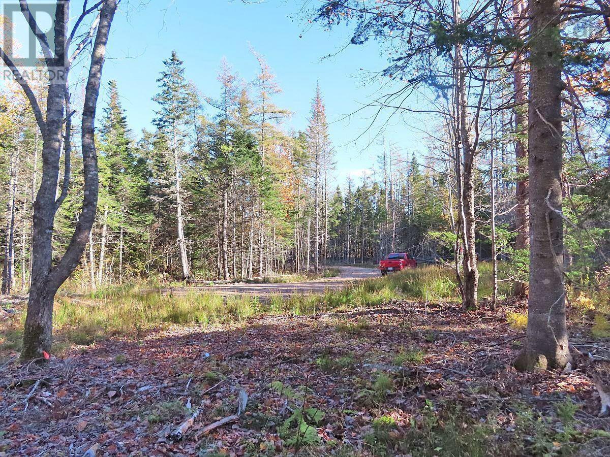 Lot 8 #4 Highway (Lower River Road) Road, Cleveland, Nova Scotia  B0E 1J0 - Photo 7 - 202407519