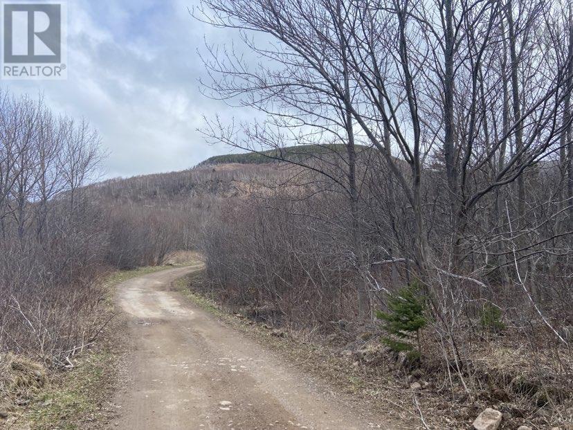 Chemin Du Lac Road, Grand Étang, Nova Scotia  B0E 1H0 - Photo 18 - 202407609