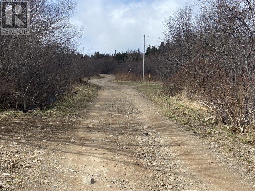 Chemin Du Lac Road, Grand Étang, Nova Scotia  B0E 1H0 - Photo 19 - 202407609