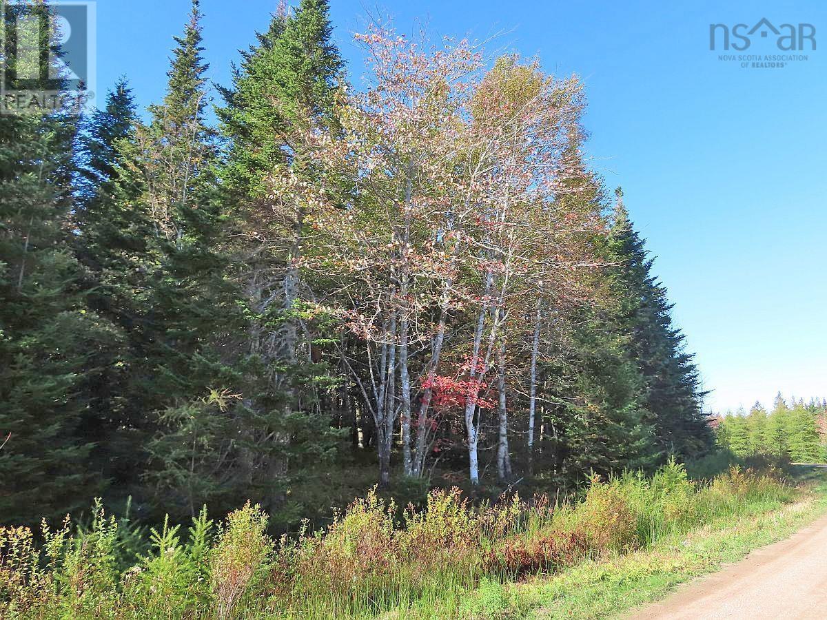 Lot 49 Lucas Lane Road, #4 Highway, Kempt Rd, Cleveland, Nova Scotia  B0E 1J0 - Photo 2 - 202407674