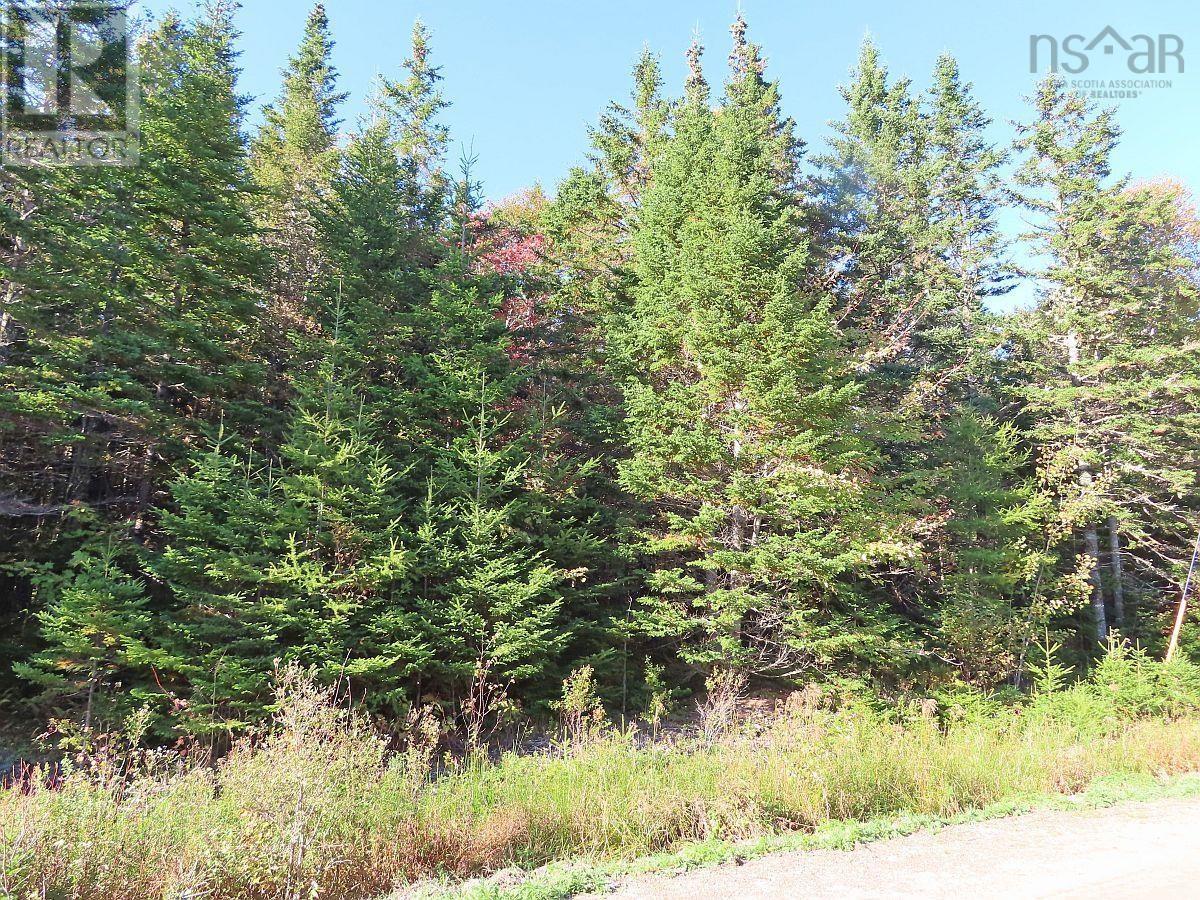 Lot 49 Lucas Lane Road, #4 Highway, Kempt Rd, Cleveland, Nova Scotia  B0E 1J0 - Photo 3 - 202407674