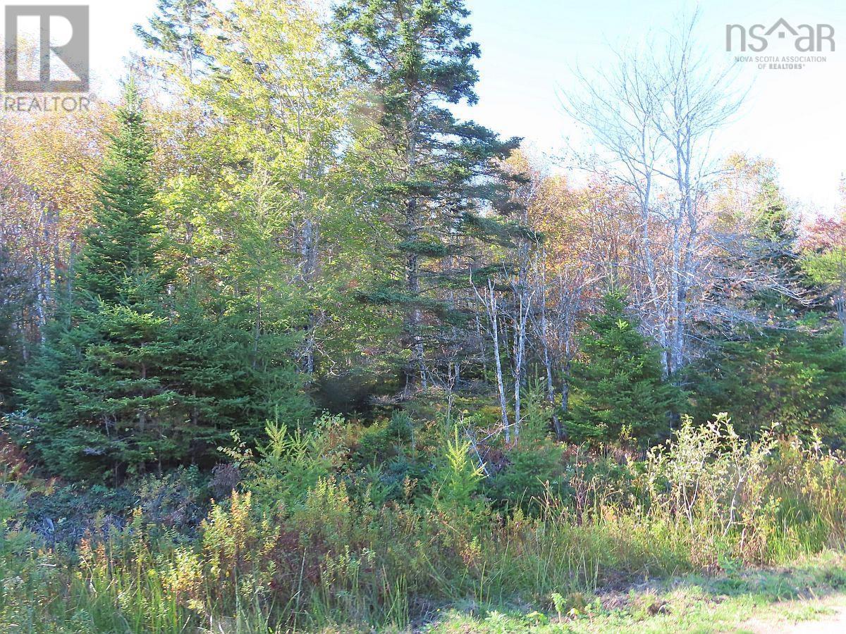 Lot 49 Lucas Lane Road, #4 Highway, Kempt Rd, Cleveland, Nova Scotia  B0E 1J0 - Photo 4 - 202407674