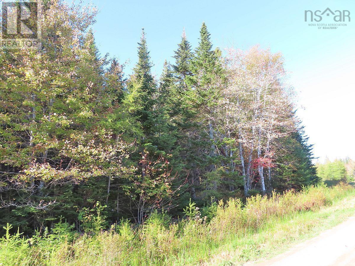 Lot 49 Lucas Lane Road, #4 Highway, Kempt Rd, Cleveland, Nova Scotia  B0E 1J0 - Photo 5 - 202407674