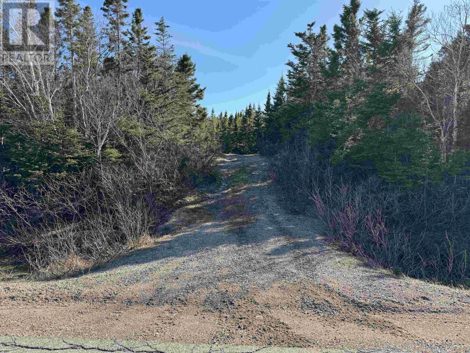 10-1 White Point Road, Smelt Brook, Nova Scotia  B0C 1N0 - Photo 2 - 202408005