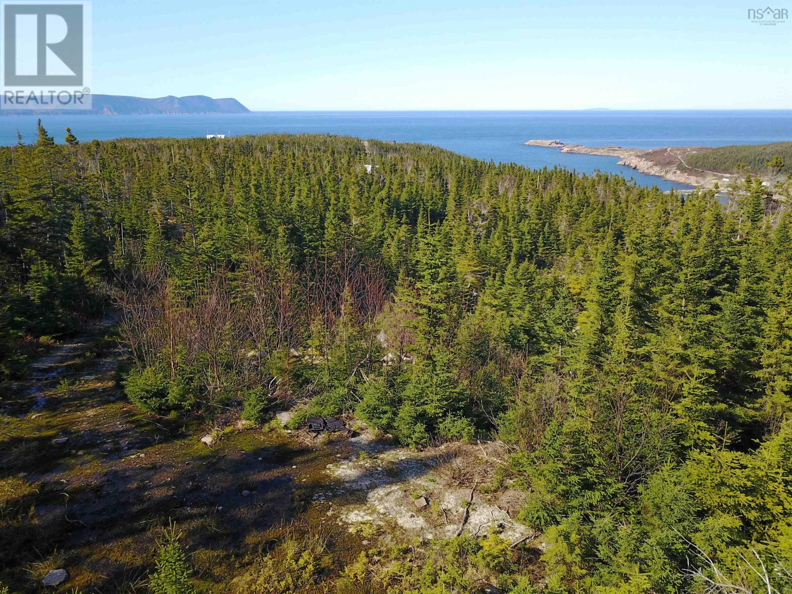 10-1 White Point Road, Smelt Brook, Nova Scotia  B0C 1N0 - Photo 6 - 202408005