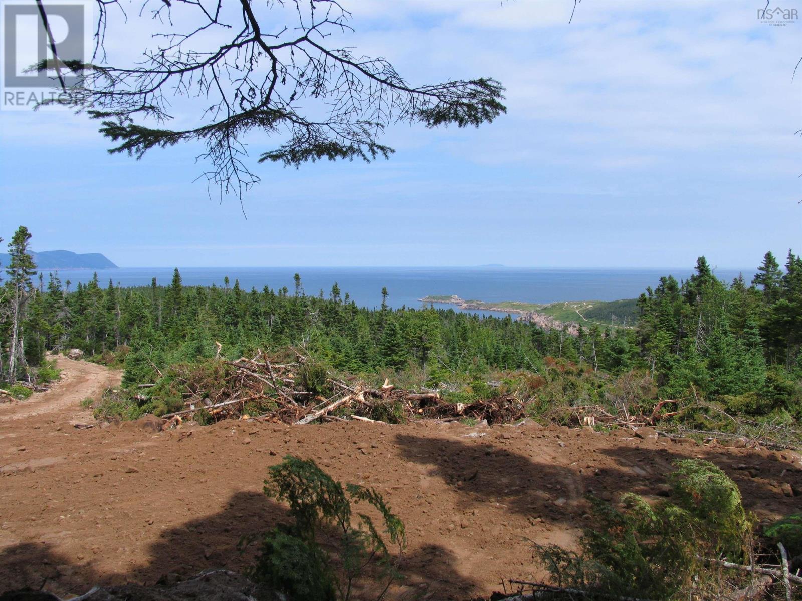 10-1 White Point Road, Smelt Brook, Nova Scotia  B0C 1N0 - Photo 9 - 202408005