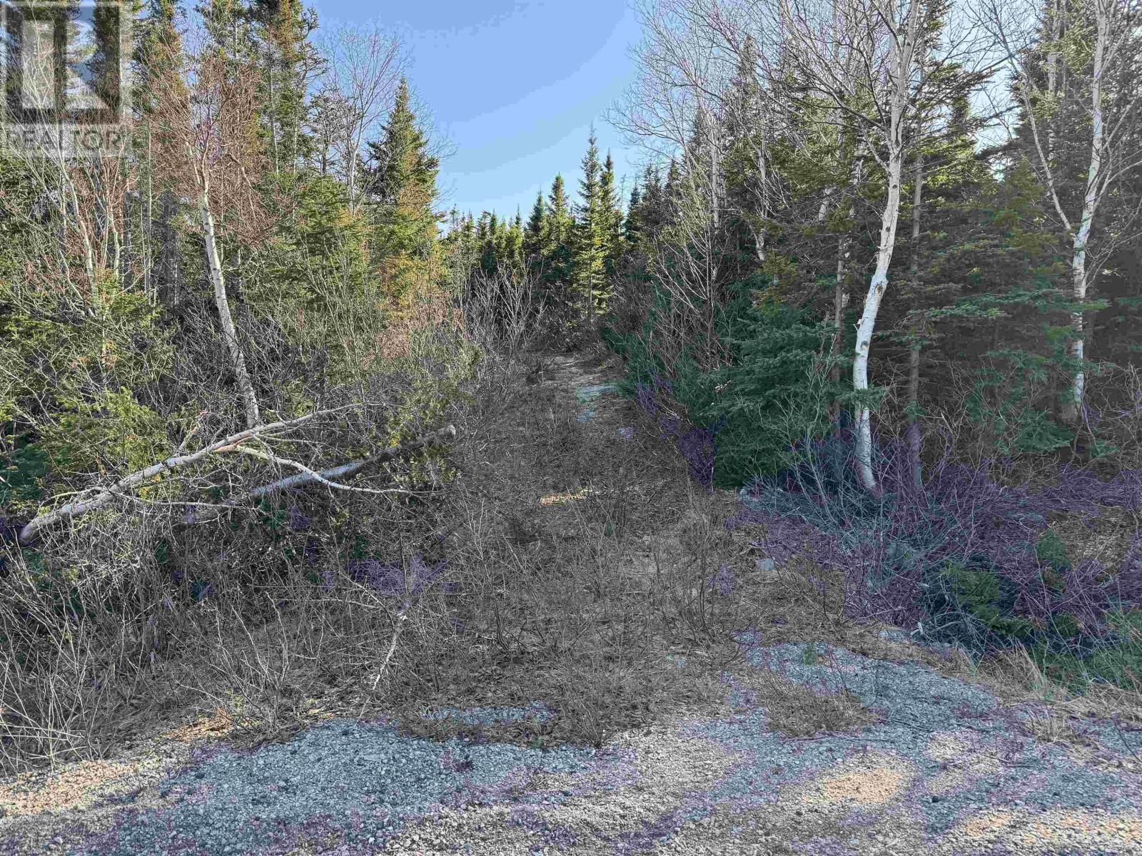 10-2 White Point Road, Smelt Brook, Nova Scotia  B0C 1N0 - Photo 3 - 202408006