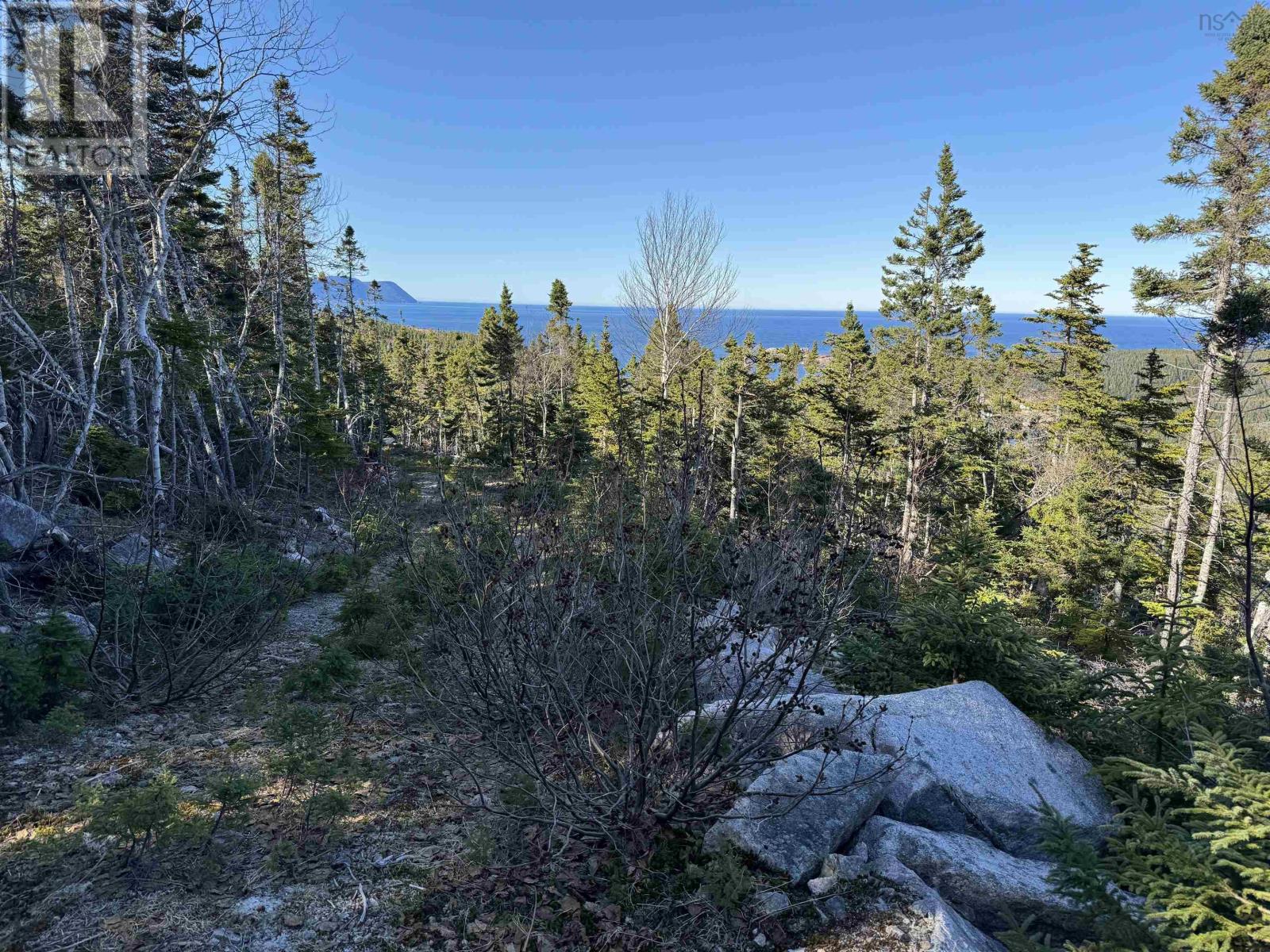 10-2 White Point Road, Smelt Brook, Nova Scotia  B0C 1N0 - Photo 9 - 202408006