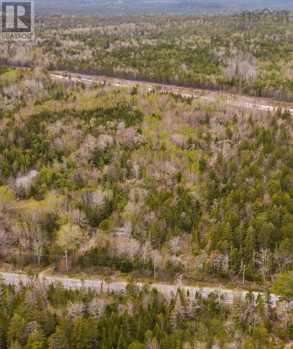 Lot Highway 3, Simms Settlement, Nova Scotia  B0J 1T0 - Photo 12 - 202408057