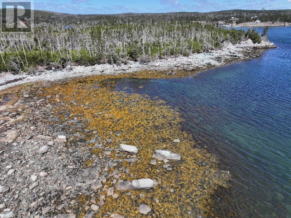 Lot Harrigan Cove No 7 Highway, Harrigan Cove, Nova Scotia  B0J 2K0 - Photo 39 - 202408081