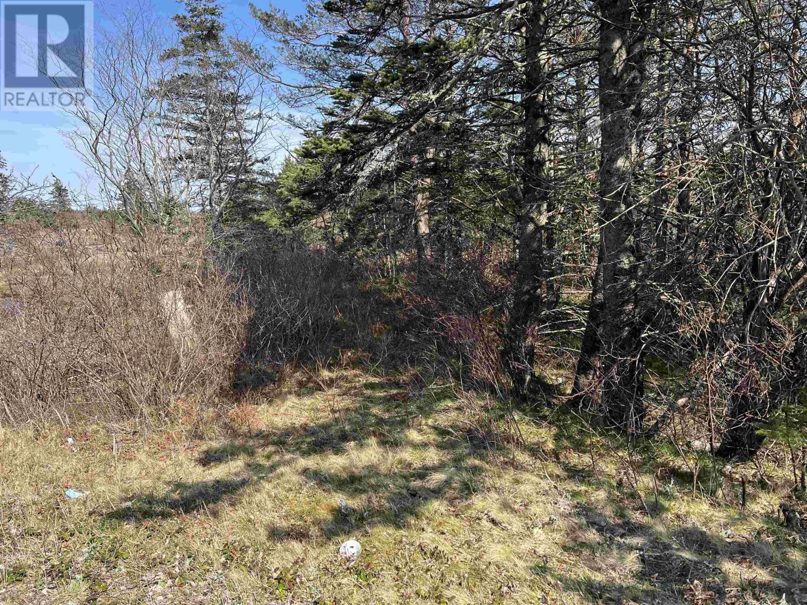 Lot Highway 3, Pubnico, Nova Scotia  B0W 3S0 - Photo 13 - 202408218