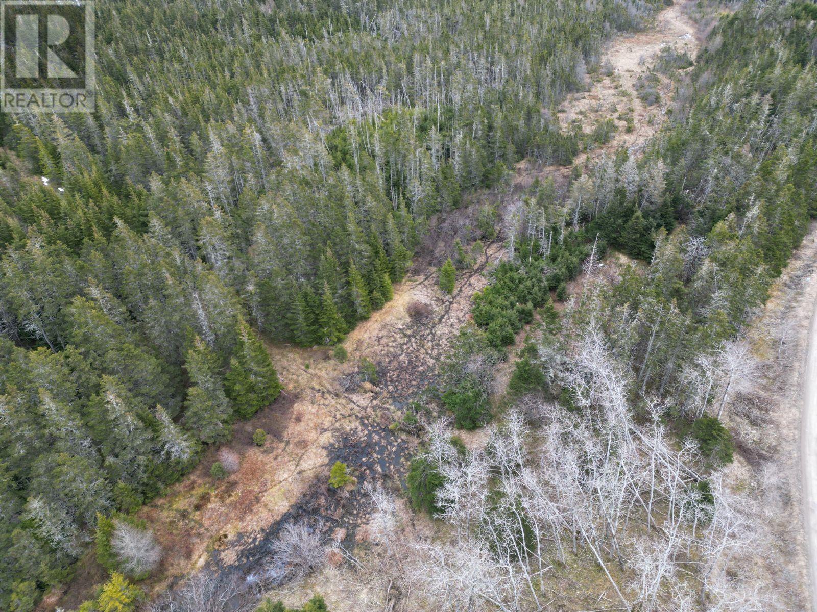 Bona Road, Lower L'ardoise, Nova Scotia  B0E 1W0 - Photo 13 - 202408377