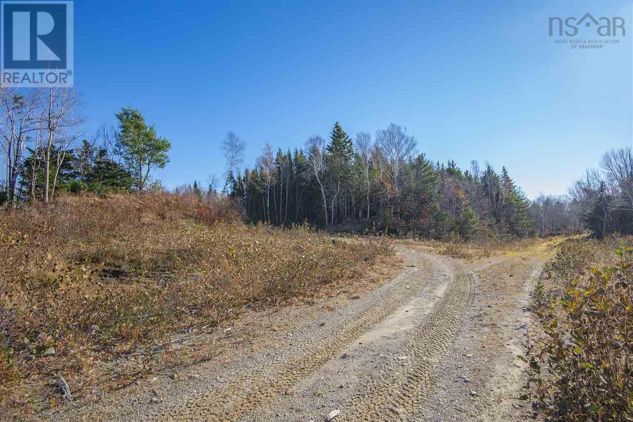 Sissiboo Road, Weymouth Mills, Nova Scotia  B0W 3T0 - Photo 14 - 202408423