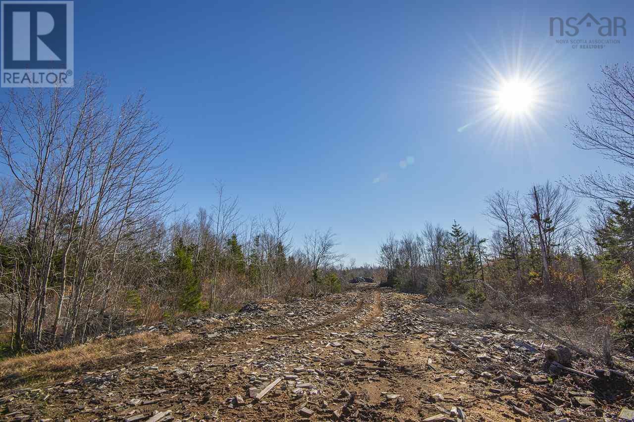 Sissiboo Road, Weymouth Mills, Nova Scotia  B0W 3T0 - Photo 16 - 202408423