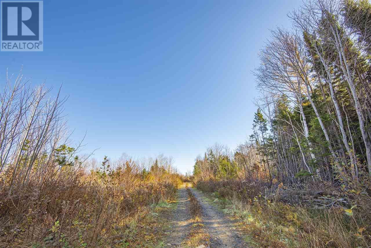 Sissiboo Road, Weymouth Mills, Nova Scotia  B0W 3T0 - Photo 6 - 202408423