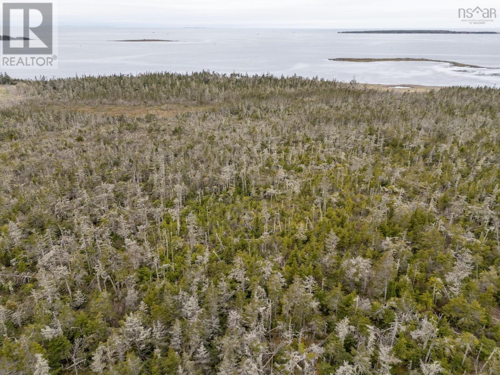 Lots Forbes Point Road, Forbes Point, Nova Scotia  B0W 2E0 - Photo 3 - 202408439