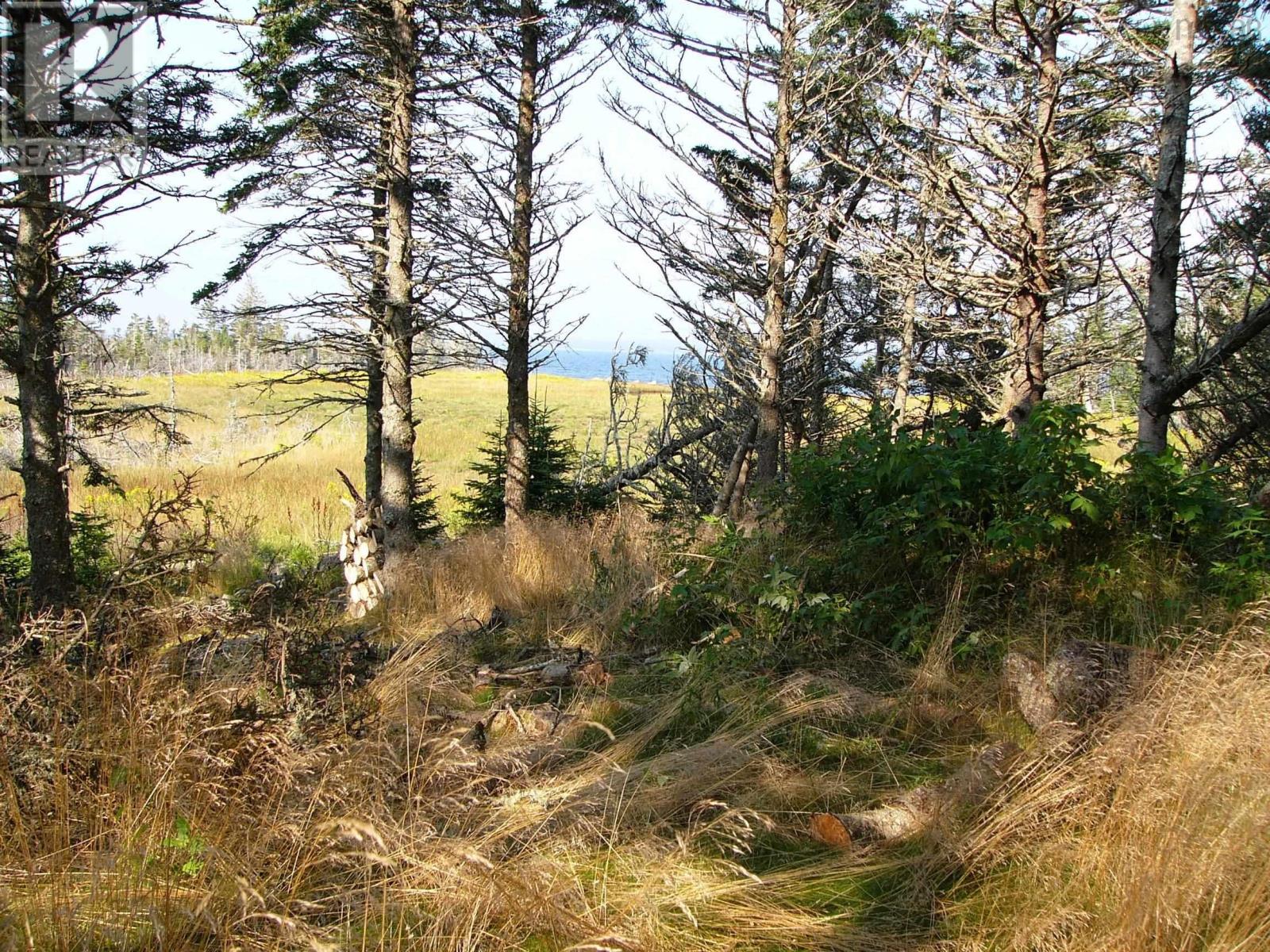 Hartlings Island, Ecum Secum, Nova Scotia  B0J 2K0 - Photo 22 - 202408489