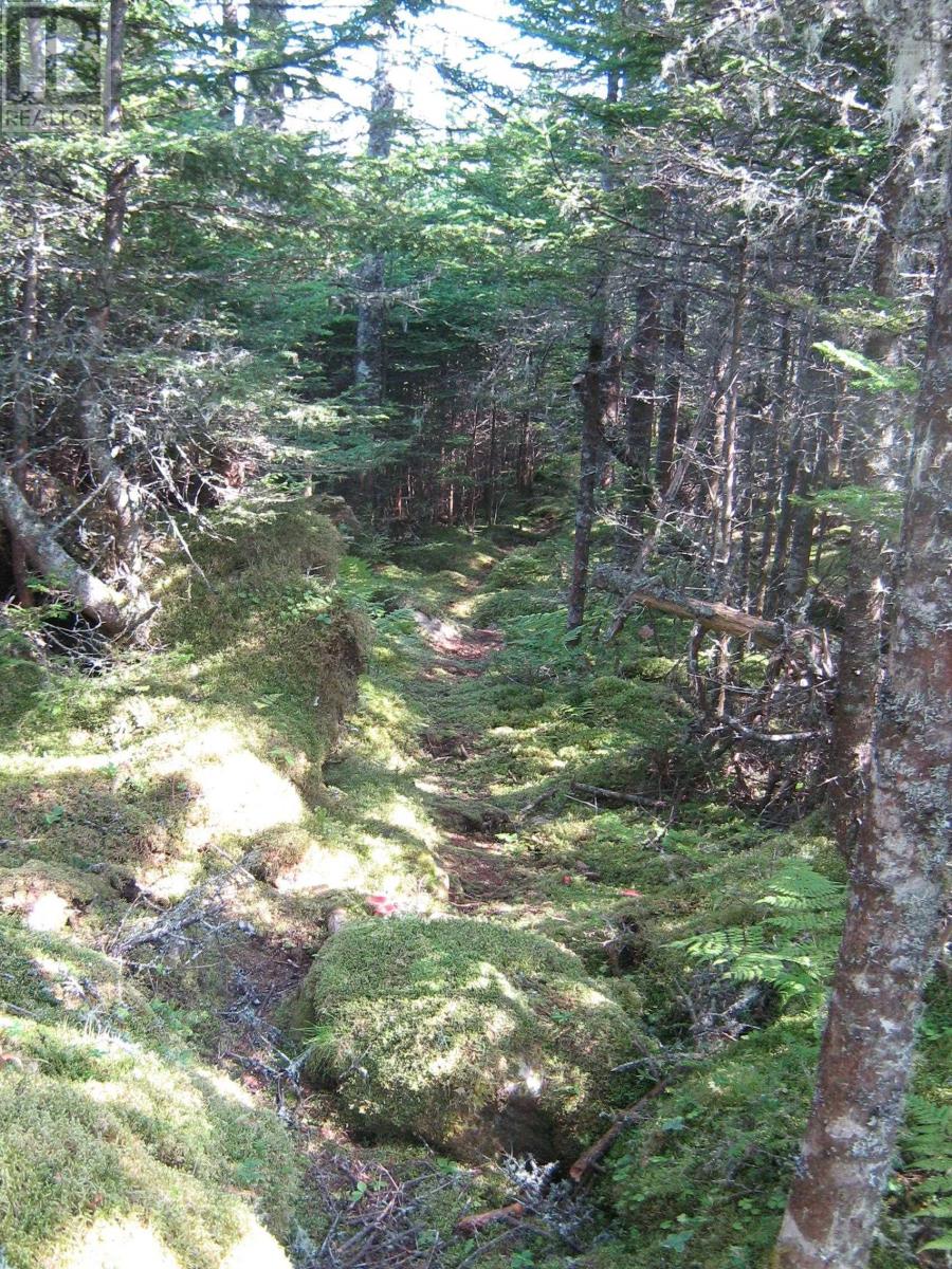 Hartlings Island, Ecum Secum, Nova Scotia  B0J 2K0 - Photo 25 - 202408489