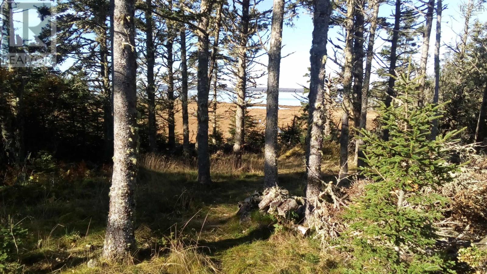 Hartlings Island, Ecum Secum, Nova Scotia  B0J 2K0 - Photo 6 - 202408489