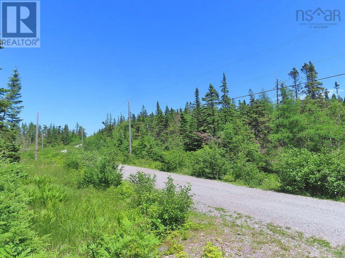 Lots 19 & 20 Joanne Langford Drive, French Road, Nova Scotia  B1K 3P9 - Photo 19 - 202408555