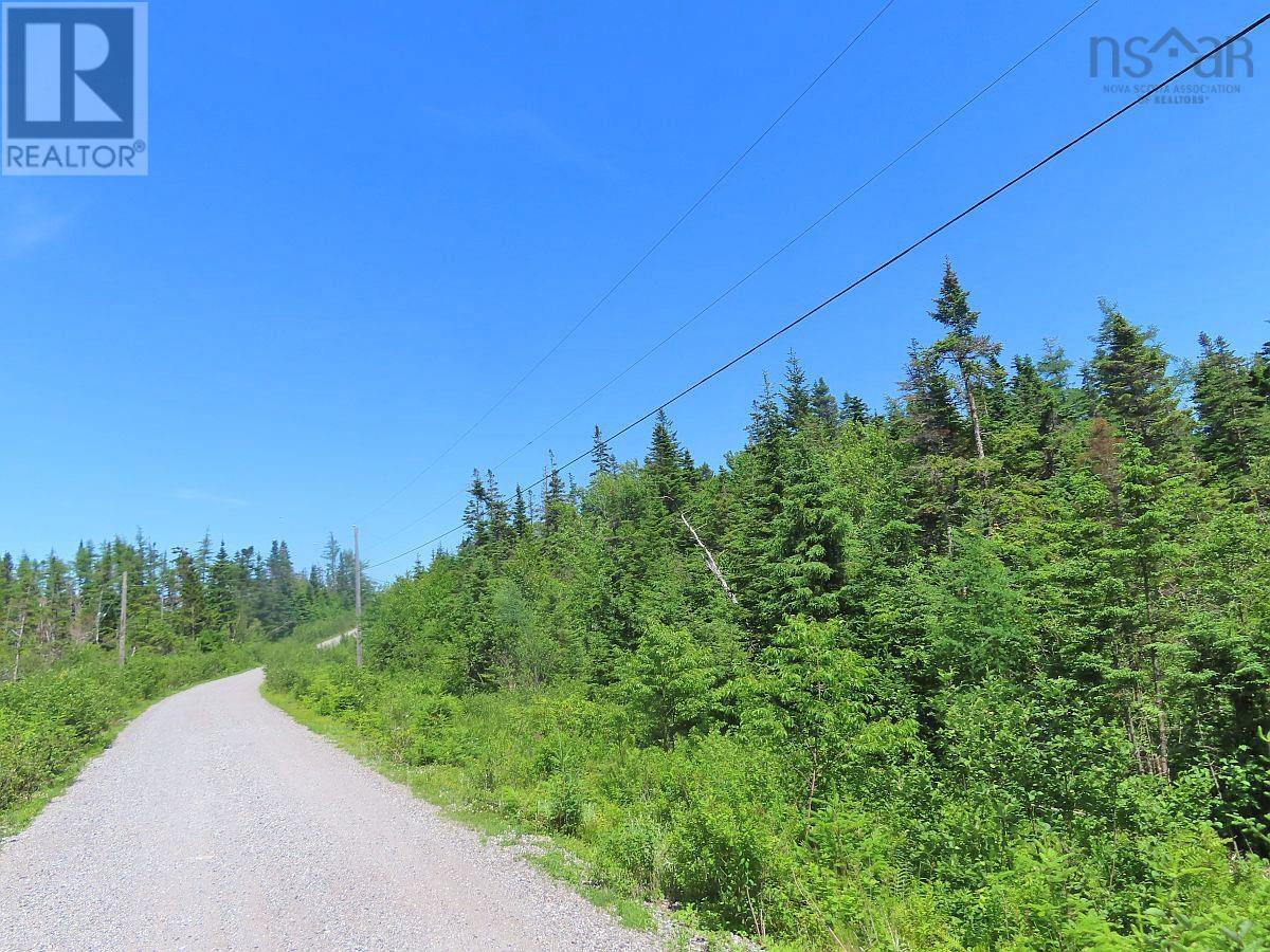 Lots 19 & 20 Joanne Langford Drive, French Road, Nova Scotia  B1K 3P9 - Photo 20 - 202408555