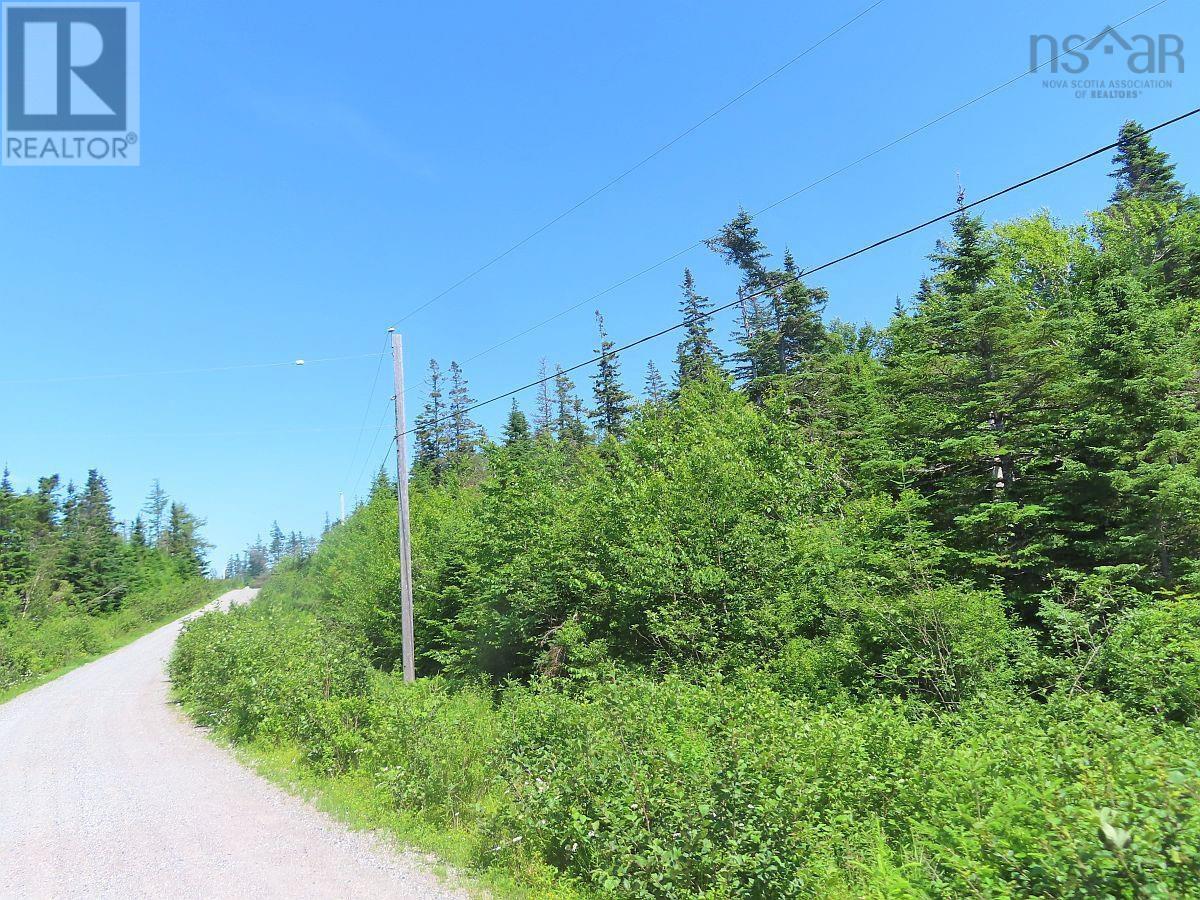 Lots 19 & 20 Joanne Langford Drive, French Road, Nova Scotia  B1K 3P9 - Photo 21 - 202408555