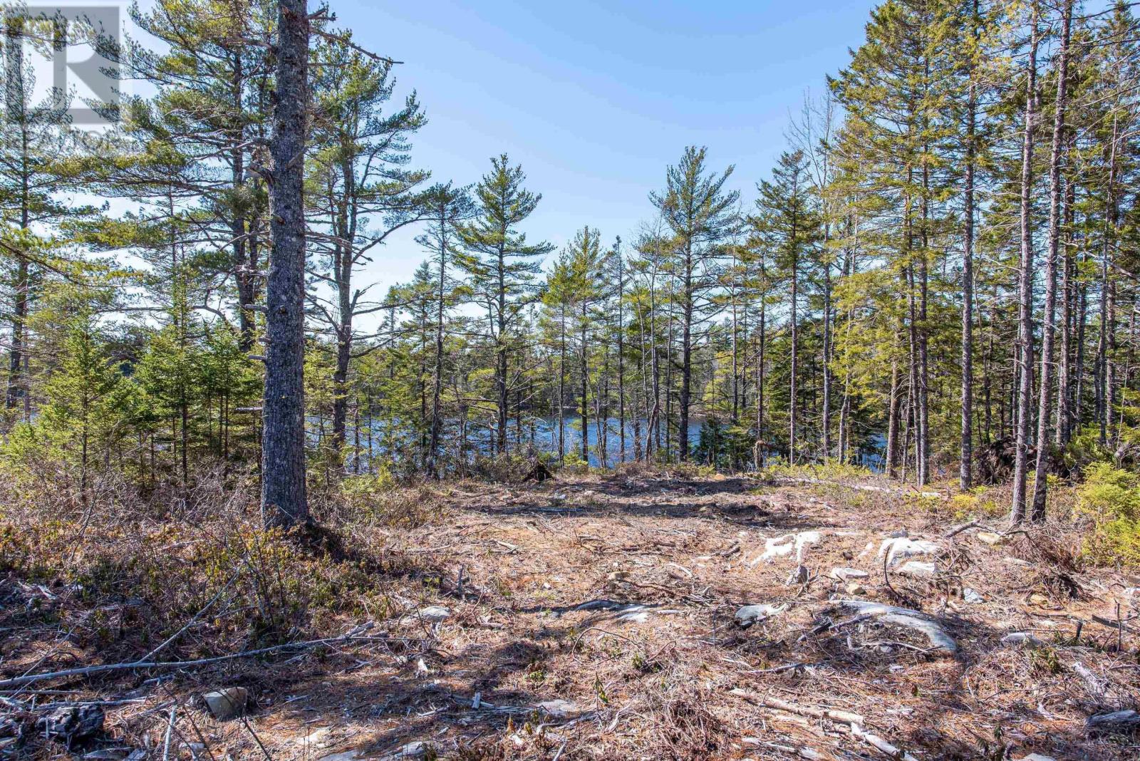 74 Meek Arm Trail, East Uniacke, Nova Scotia  B0N 1Z0 - Photo 5 - 202408569