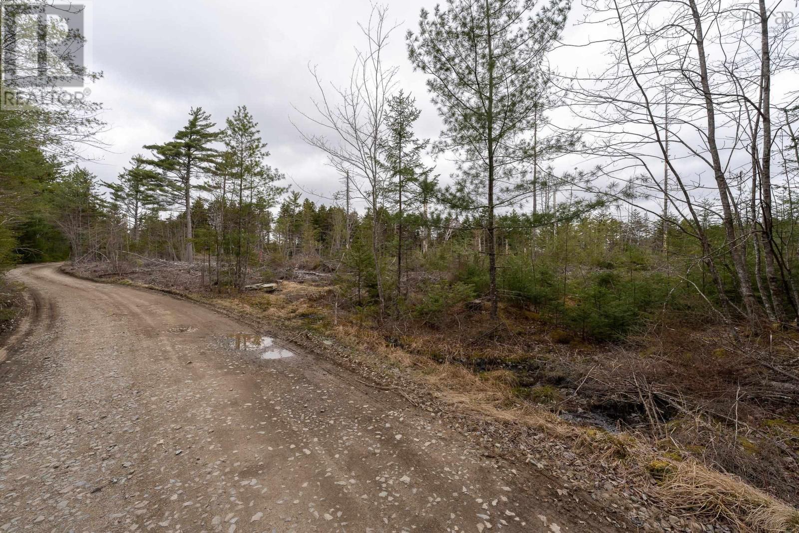 Lot 12 Patrice Road, Corberrie, Nova Scotia  B0W 3T0 - Photo 4 - 202408595