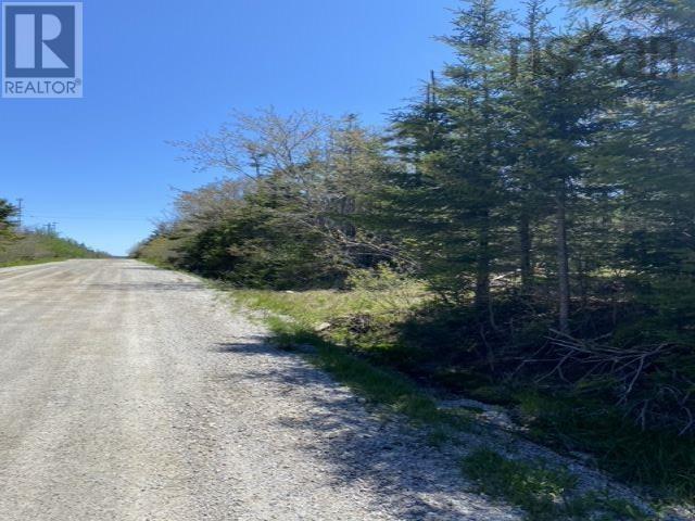 Lot 5 Willett Road, Middle East Pubnico, Nova Scotia  B0W 2A0 - Photo 12 - 202408734