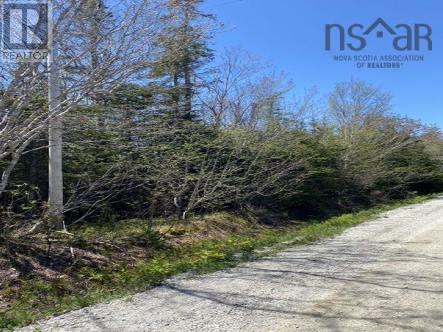 Lot 5 Willett Road, Middle East Pubnico, Nova Scotia  B0W 2A0 - Photo 14 - 202408734