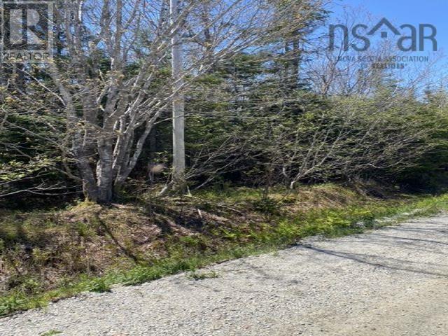 Lot 5 Willett Road, Middle East Pubnico, Nova Scotia  B0W 2A0 - Photo 16 - 202408734