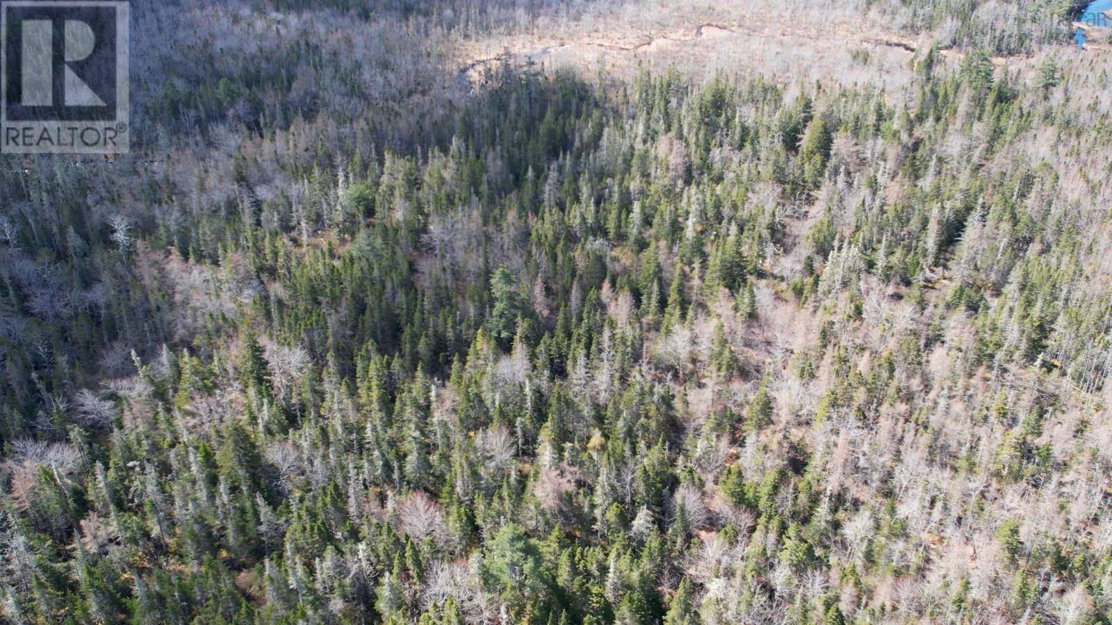 Lot Back Road, Voglers Cove, Nova Scotia  B0J 2H0 - Photo 10 - 202408737