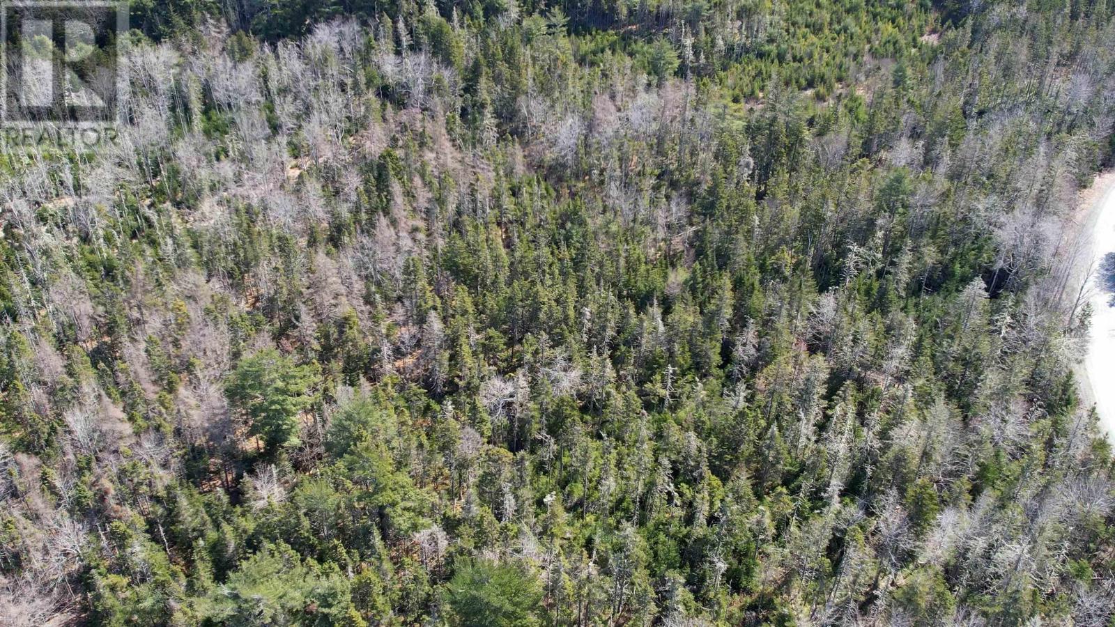 Lot Back Road, Voglers Cove, Nova Scotia  B0J 2H0 - Photo 16 - 202408737