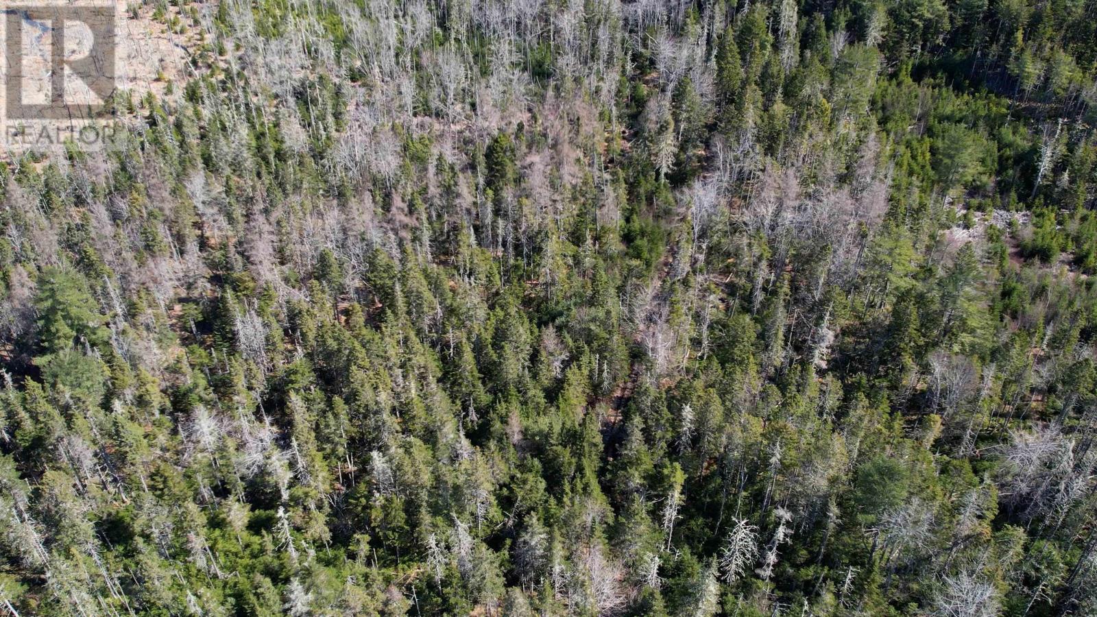 Lot Back Road, Voglers Cove, Nova Scotia  B0J 2H0 - Photo 17 - 202408737