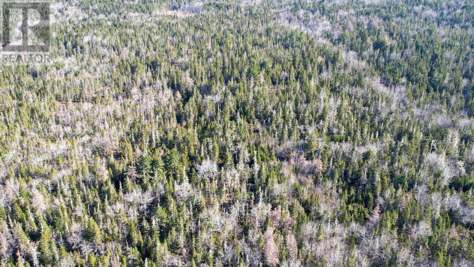 Lot Back Road, Voglers Cove, Nova Scotia  B0J 2H0 - Photo 3 - 202408737