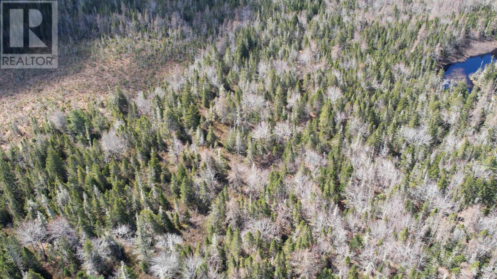 Lot Back Road, Voglers Cove, Nova Scotia  B0J 2H0 - Photo 9 - 202408737