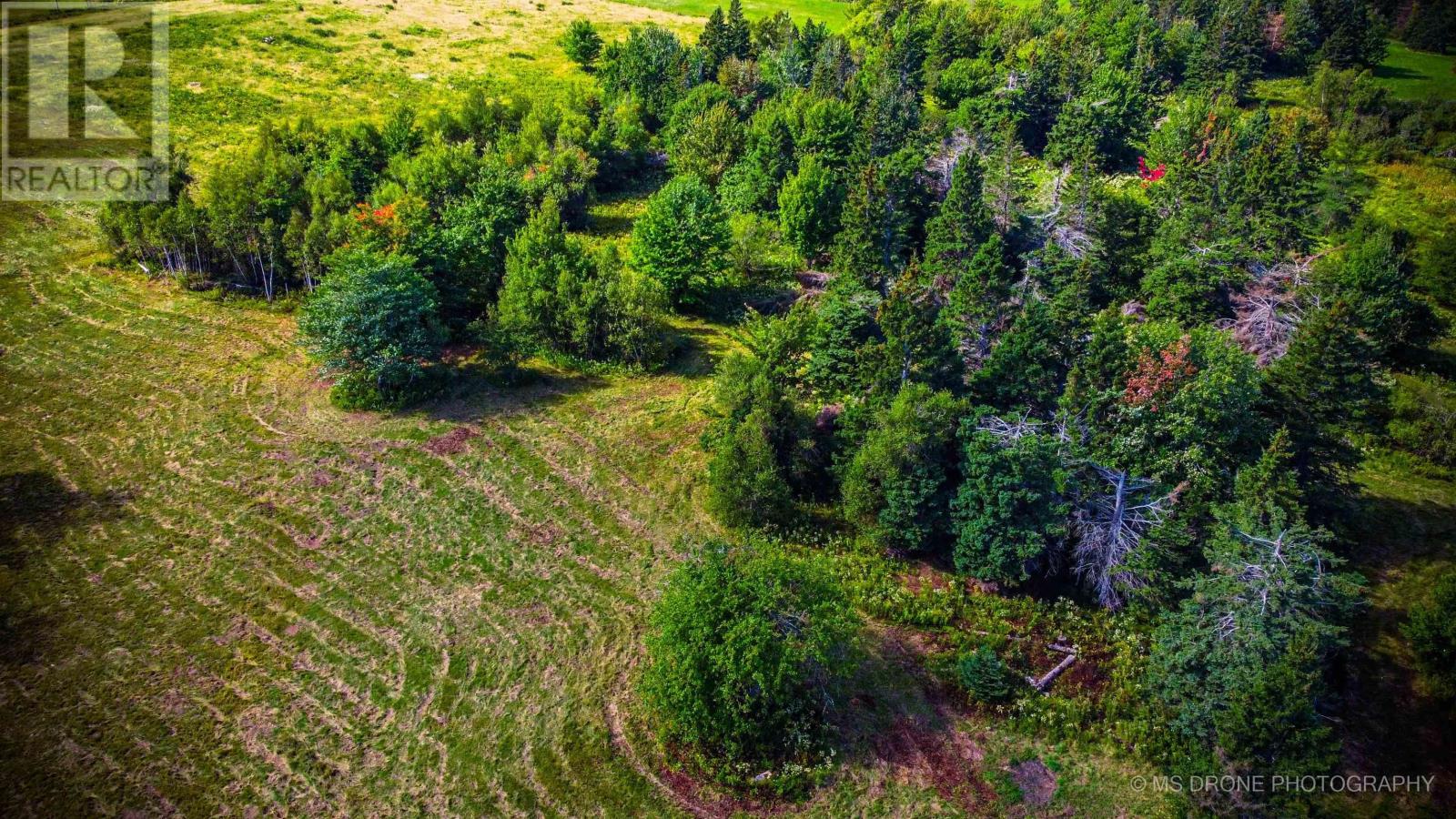 Lot 17 Gulf Shore Road, Gulf Shore, Nova Scotia  B0K 1L0 - Photo 20 - 202408816